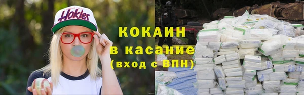 прущий лед Дмитриев