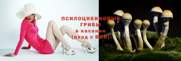 мяу мяу мука Дмитров