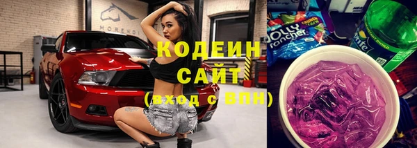 прущий лед Дмитриев