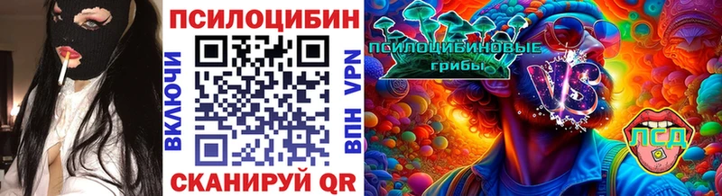 Купить  Шахты  Галлюциногенные грибы Psilocybine cubensis 